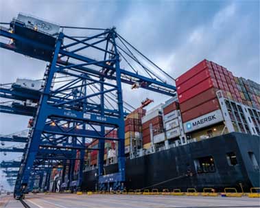 The Function and Selection of Bellow Type Mechanical Seals