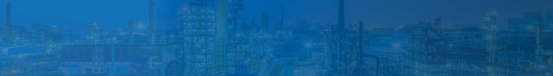 Stainless Steel Seal